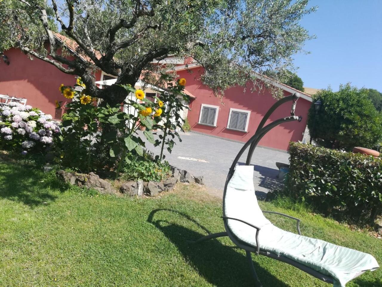 Ferienwohnung Il Poggio Degli Ulivi Trevignano Romano Exterior foto